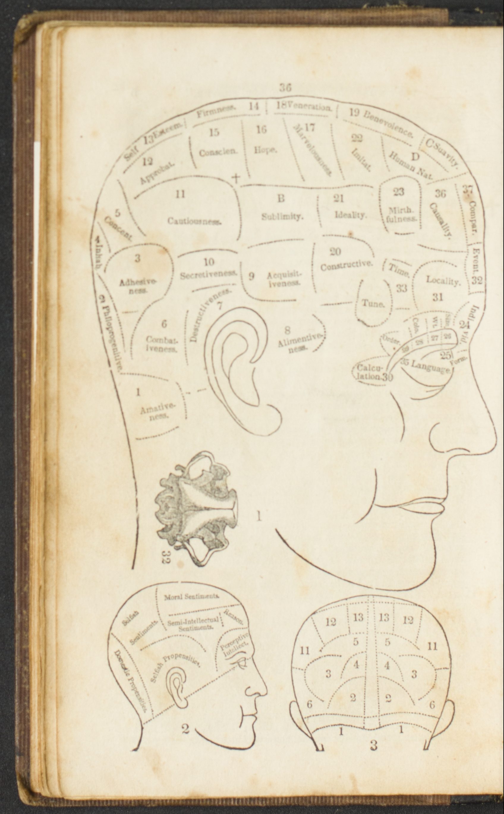 Fowler's Map